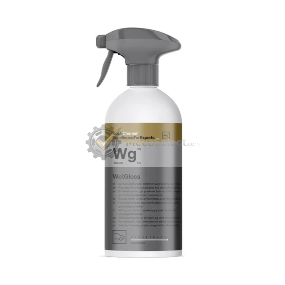 WetGloss Wg Koch-Chemie