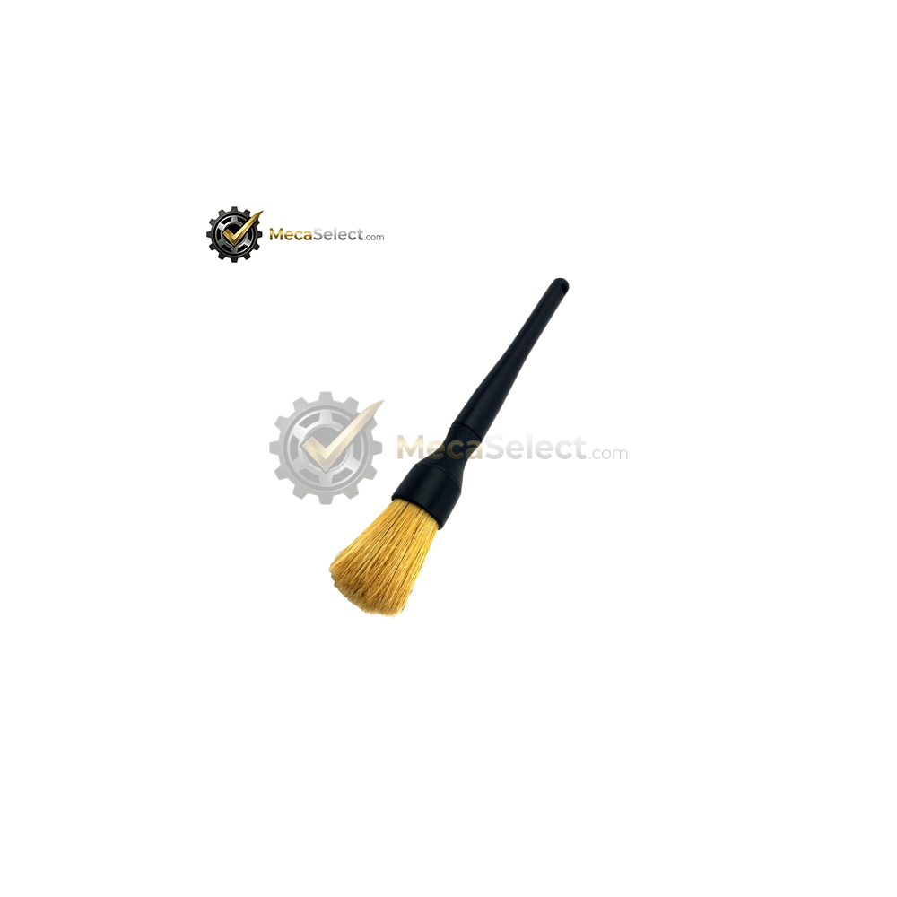 Aquila Pinceau Medium / Doux - Large - MecaSelect